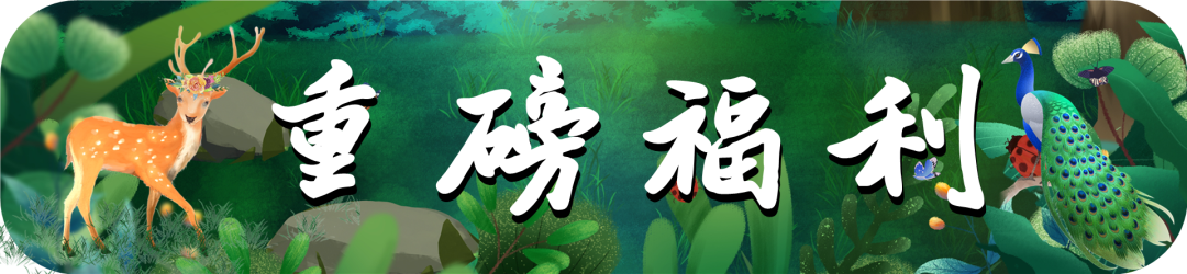 领门票！!!德州~印象大薛庄！彩虹滑道+呐喊喷泉+儿童城堡+帐篷露营+坑爹过山车+数十项无动力游乐，遛娃好去处