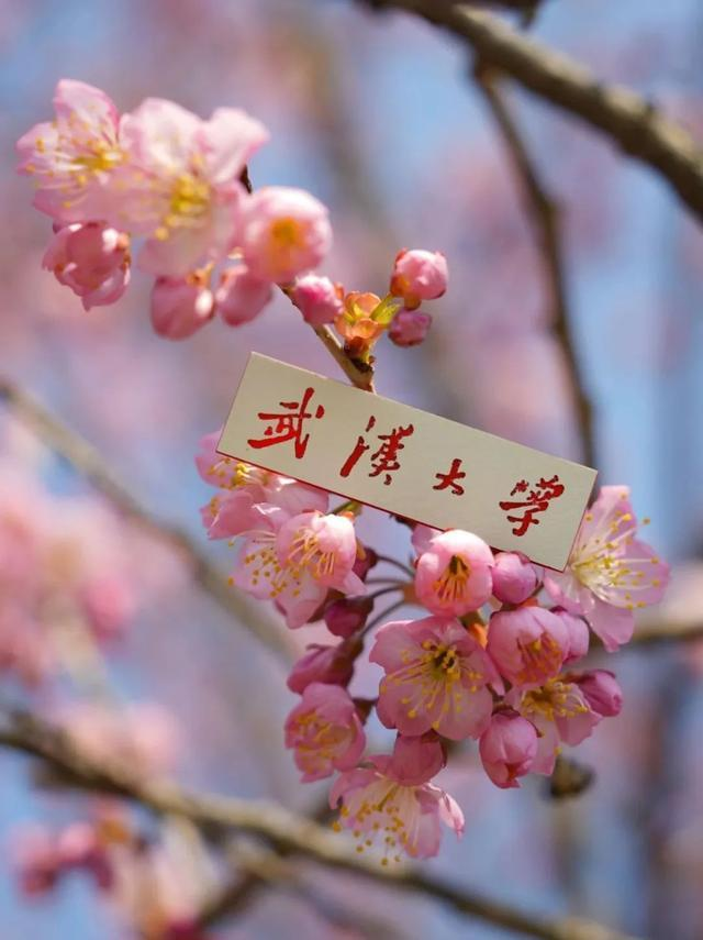 微信图片_20230329143155.png