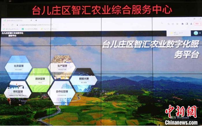图为台儿庄区的智汇农业数字化服务平台。　贾礼章 摄