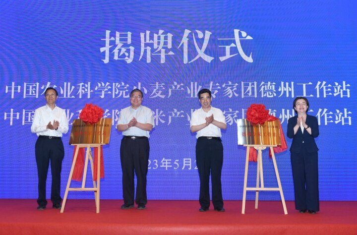 c883dbb4-d8e4-4fa9-9f3d-ed574d30b2af.jpg