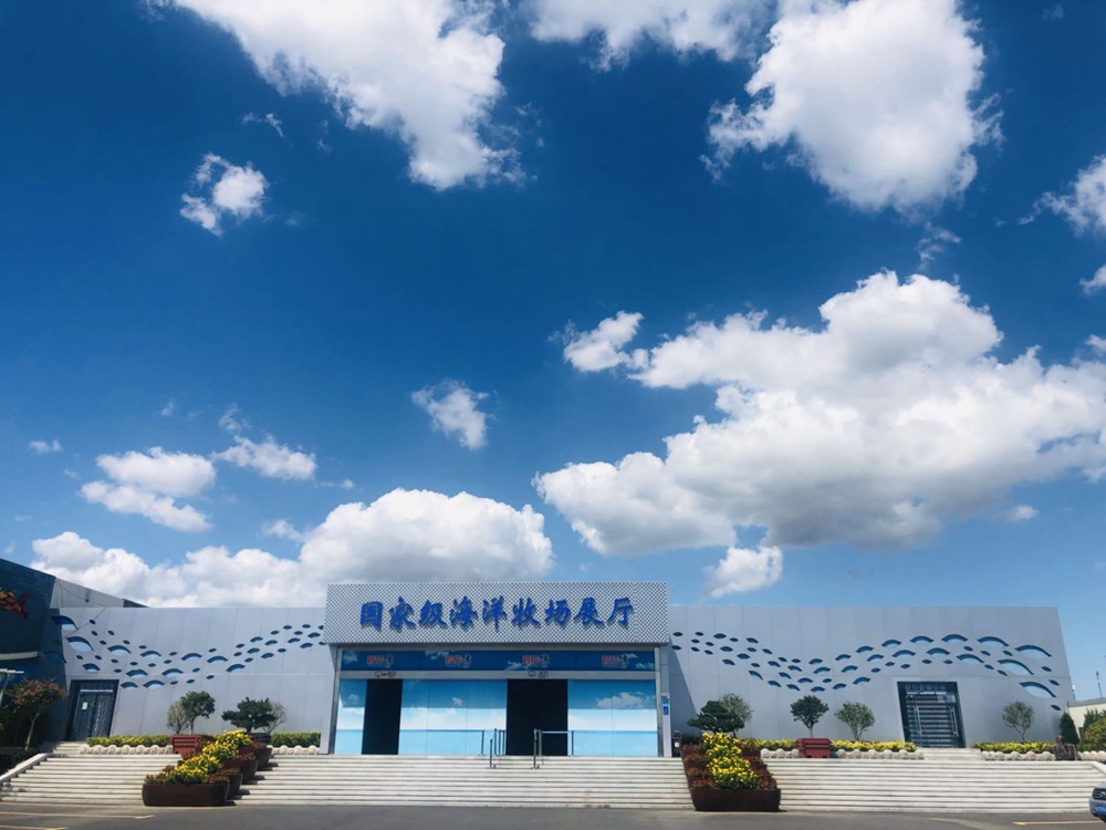 绿动齐鲁 碳路未来 | 【威海】爱伦湾海洋牧场：打造海洋“低碳”新样板 生态效益带来“真金白银”