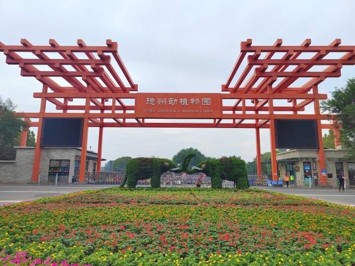 6d21e9b3-d7ff-447f-9ae5-75cec8a7d3e3.jpg