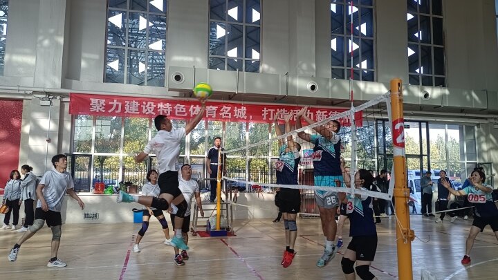 8b1a8f03-1090-4c41-a9a7-0acbtB0af087.jpg