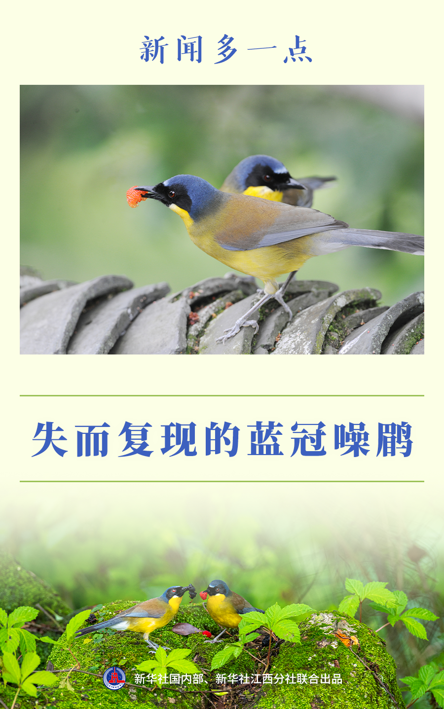 XxjdzbC007056_20231013_CBMFN0A003.png