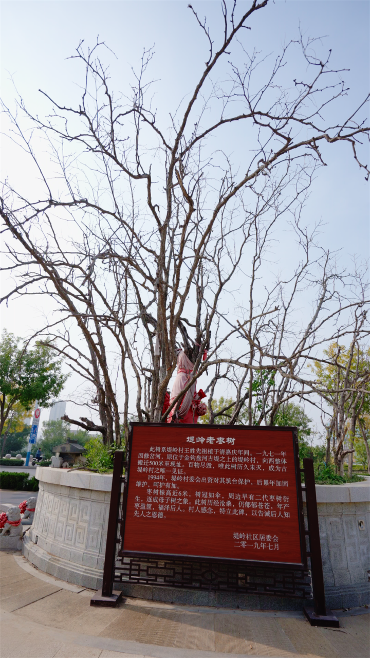 aa934b16-f394-4990-a717-c15cbd6a6cbb.png
