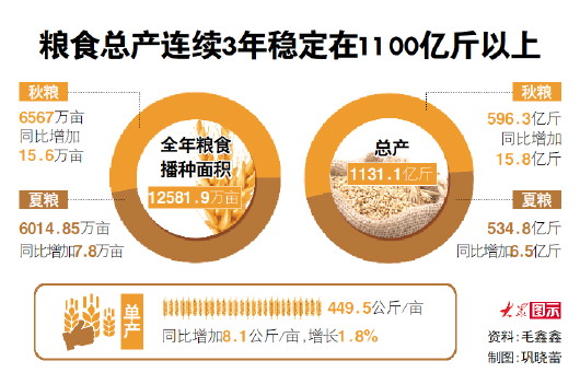 资料:毛鑫鑫 制图:巩晓蕾 资料:毛鑫鑫 制图:巩晓蕾