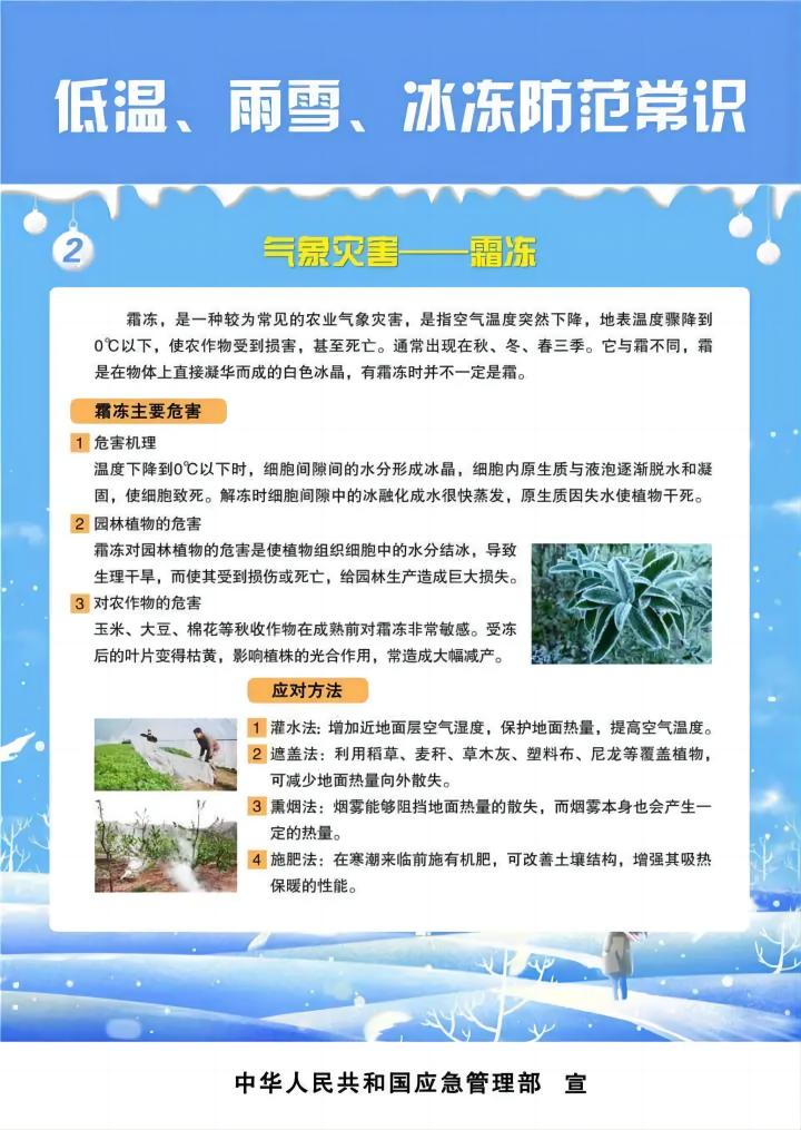 b8d2ac9a-0018-4585-97e1-e112d7b088ab(1).jpg