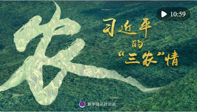 微信截图_20240209131102.png