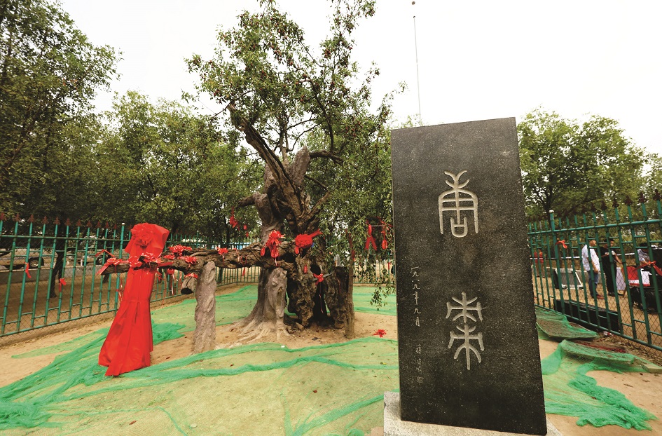 老照片.jpg
