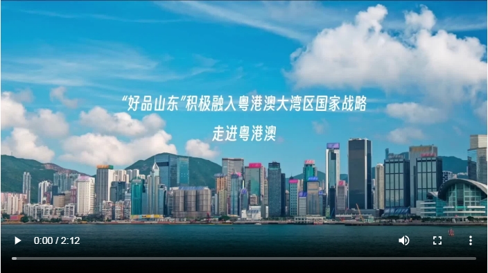 微信截图_20240531105554.png