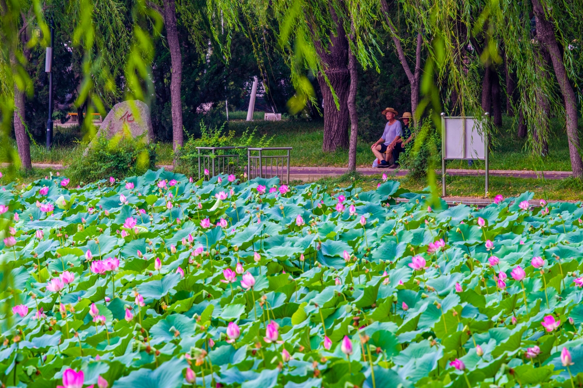 微信截图_20240619144852.png