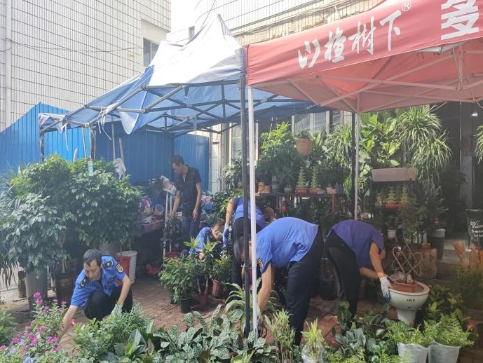 微信截图_20240911155109.png