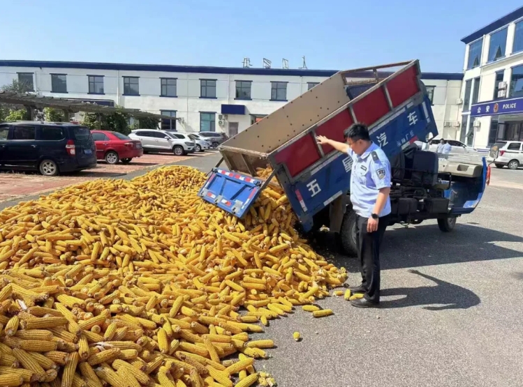 微信截图_20240925171541.png
