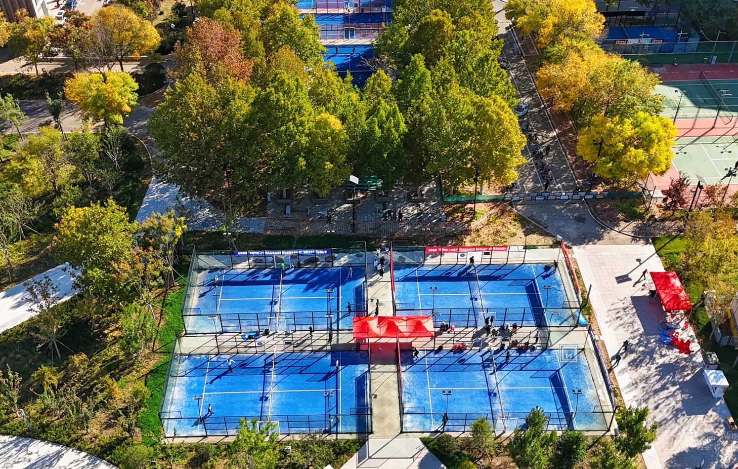 微信截图_20241020175351.png