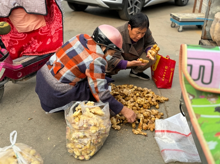 微信截图_20241030163514.png