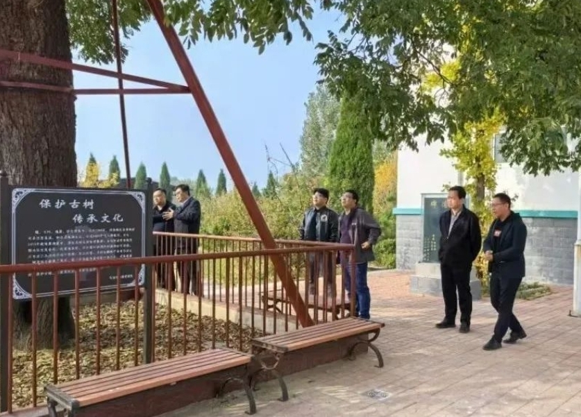 微信截图_20241103105738.png