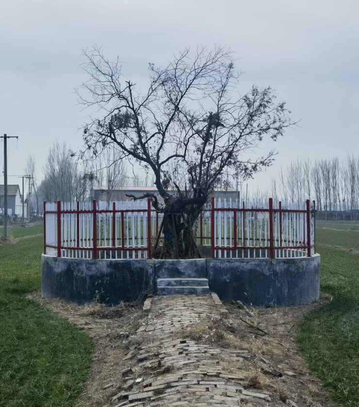微信截图_20241225153004.png