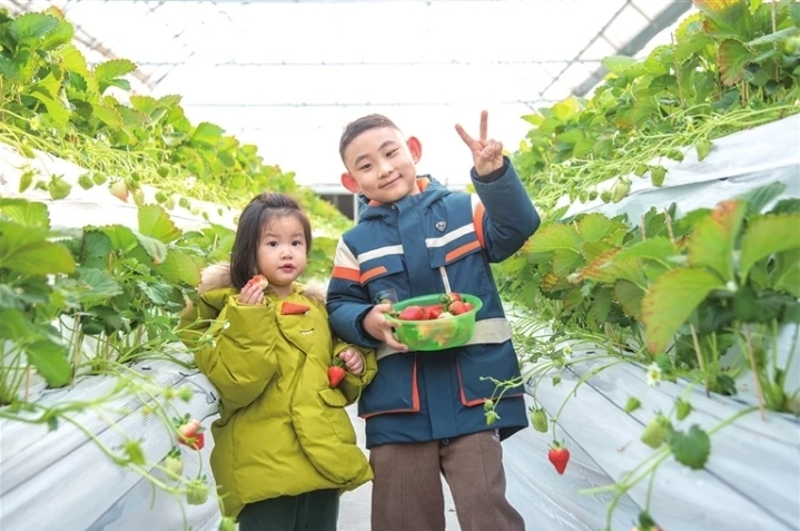 微信截图_20250108111630.png