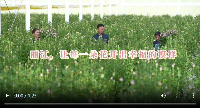 下载 (1).png 下载 (1).png