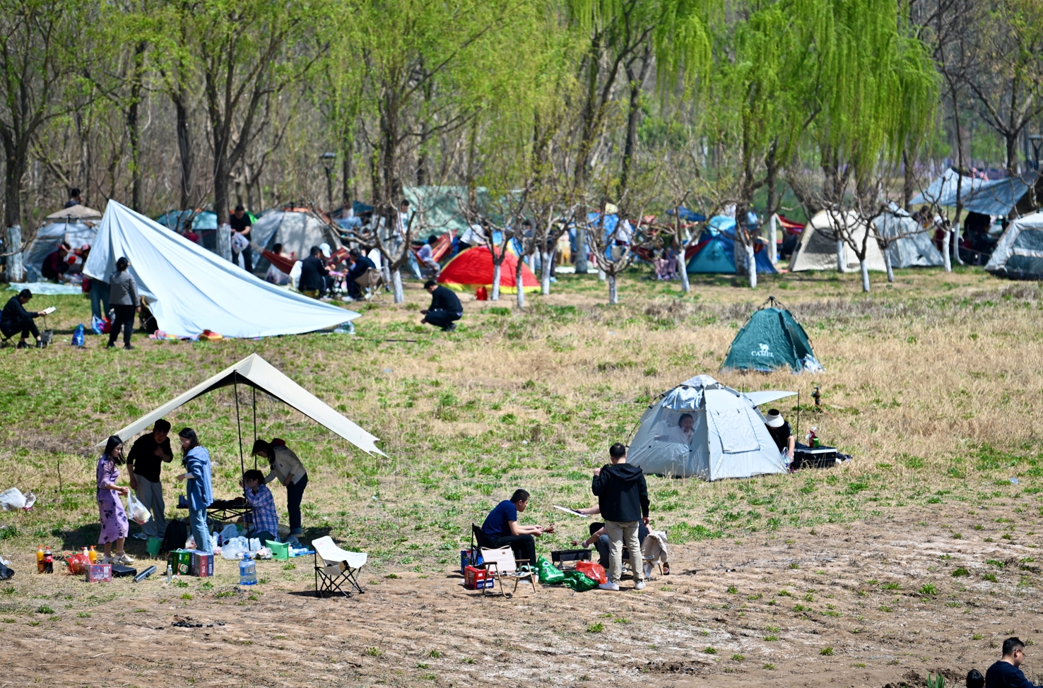 微信截图_20250406152717.png