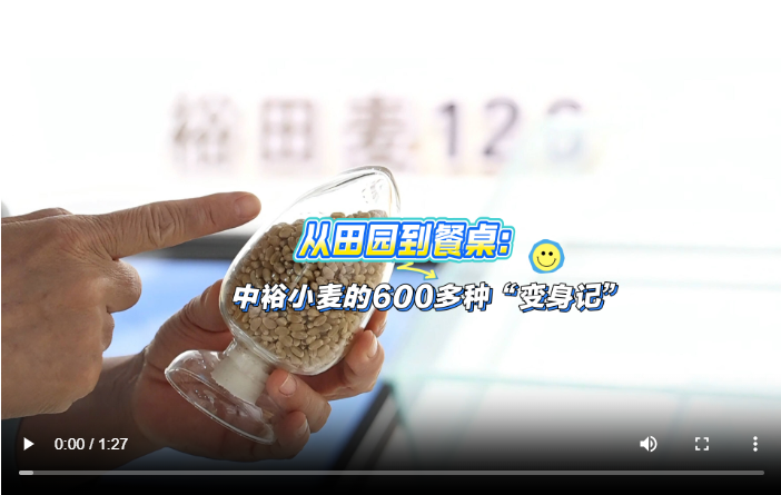 wechat_2025-08-20_174617_068.png
