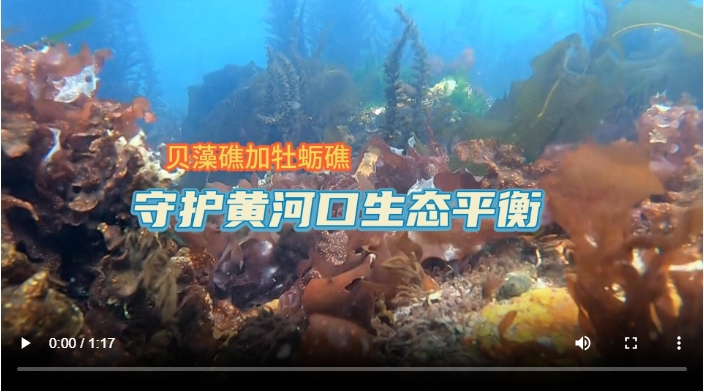 微信截图_20250903165820.png