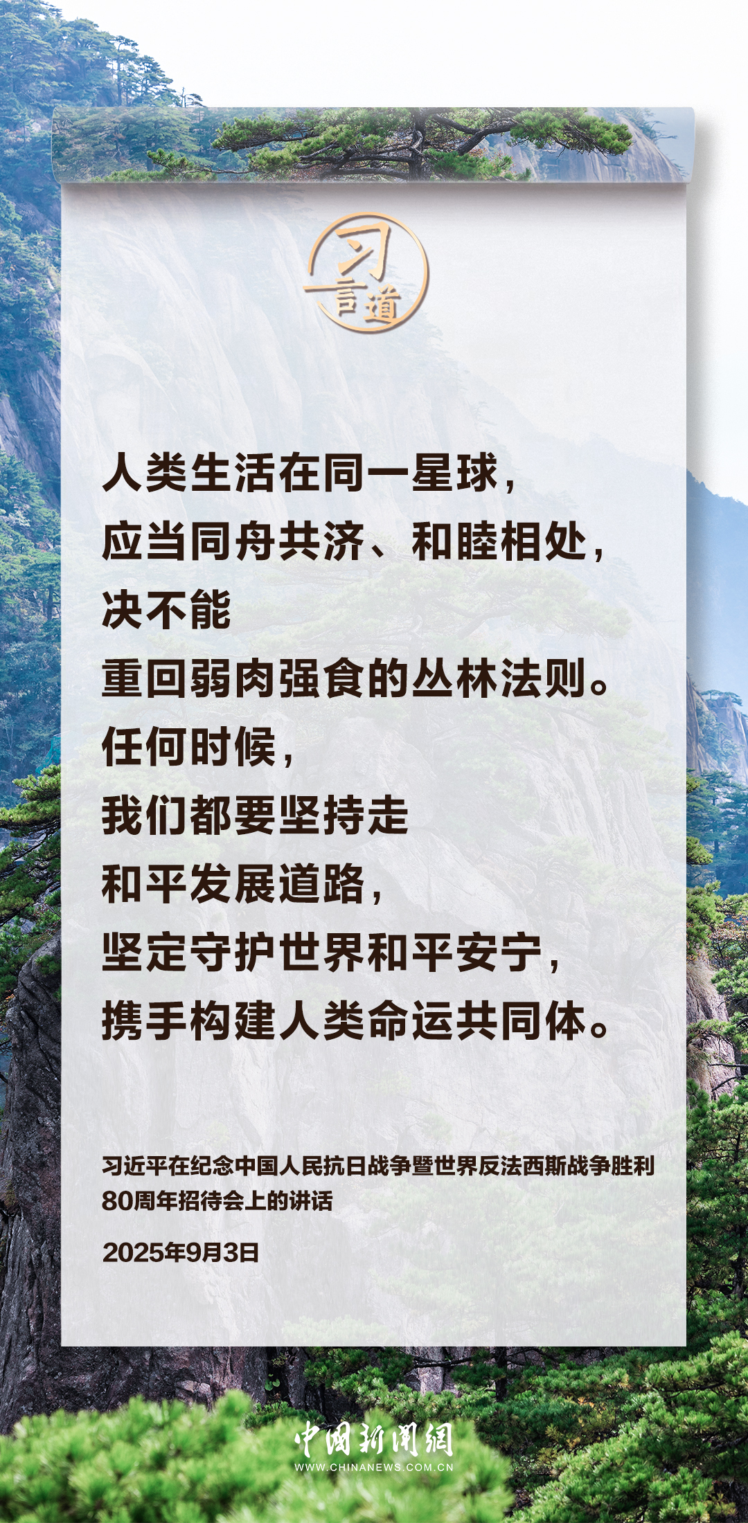 f915fe5ef929446198249083f50078ae.jpg