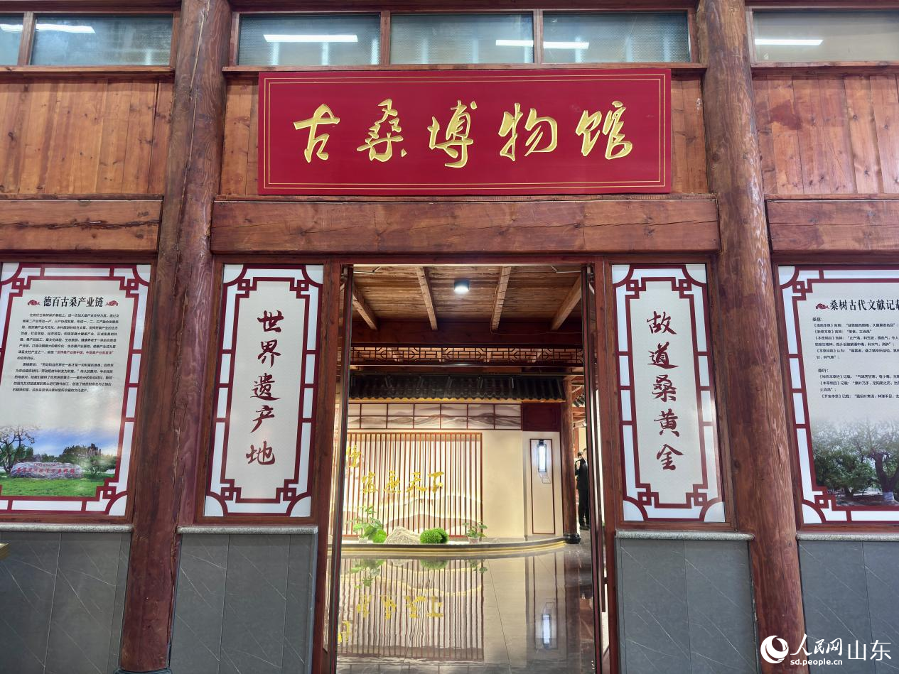 古桑博物馆。人民网 郑昕桥摄